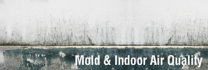 Mold & Indoor Air Quality