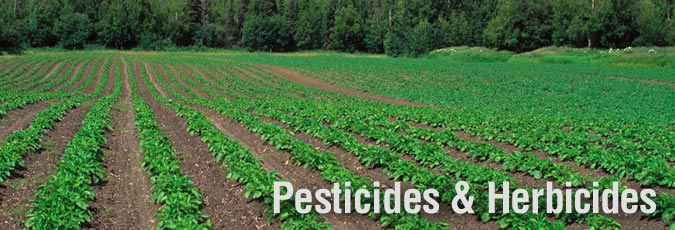 Pesticides and Herbicides